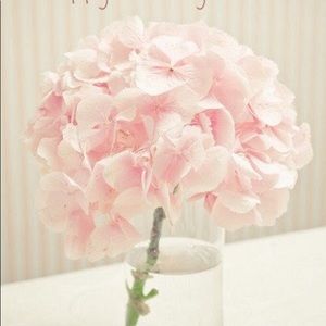 Meet your Posher, Jeanette